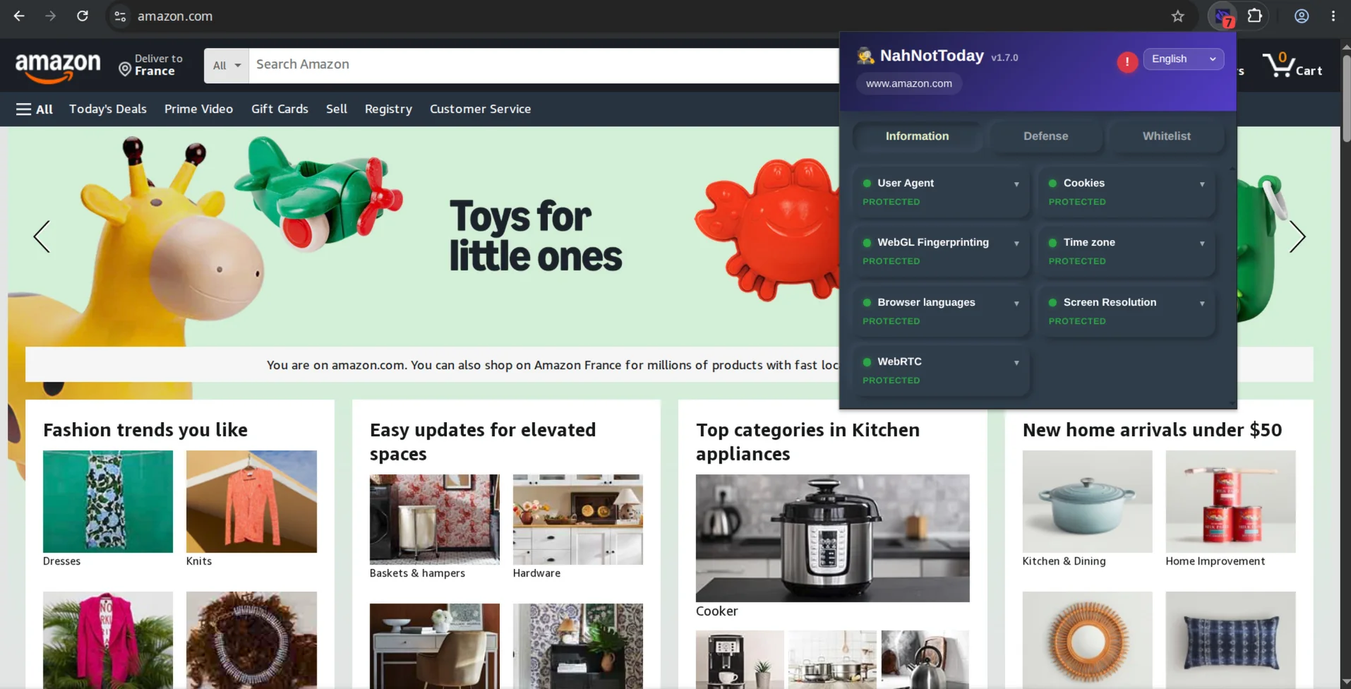 NahNotToday popup — main toggle and live status