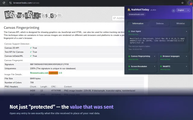 The "Information" tab  shows not only the data type, but also the exact string of information received by the website.