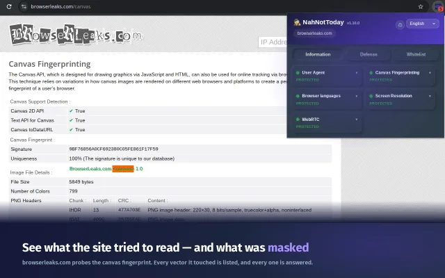 The "Information" tab showing exactly what data websites collect.